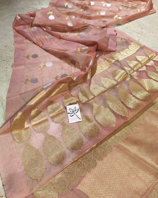 Party Wear Organza Silk Saree With Banarasi Border Saree OSB03